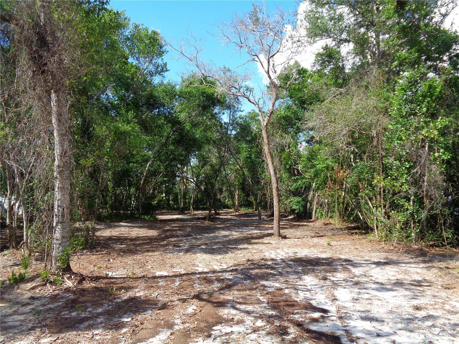 8007 Chaucer Dr, Weeki Wachee, FL 34607 photo