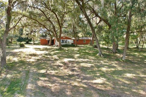 Farm in EARLETON FL 9817 NE COUNTY ROAD 1469.jpg