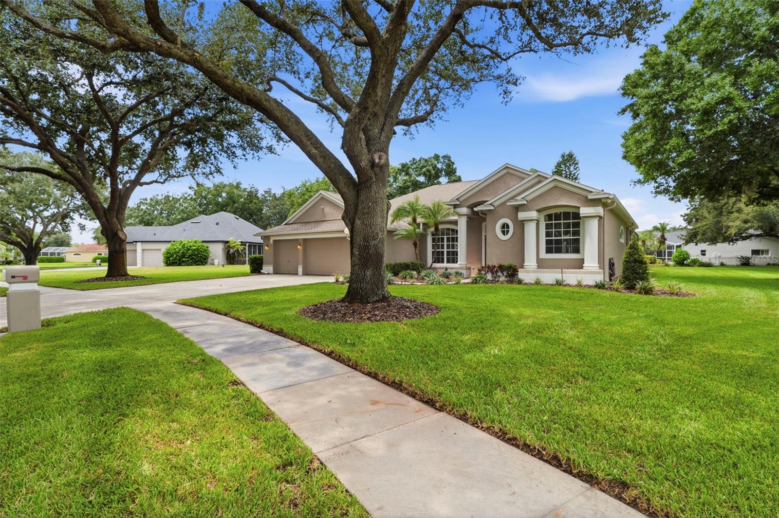 13756 Dowling Ln, Odessa, FL 33556 photo
