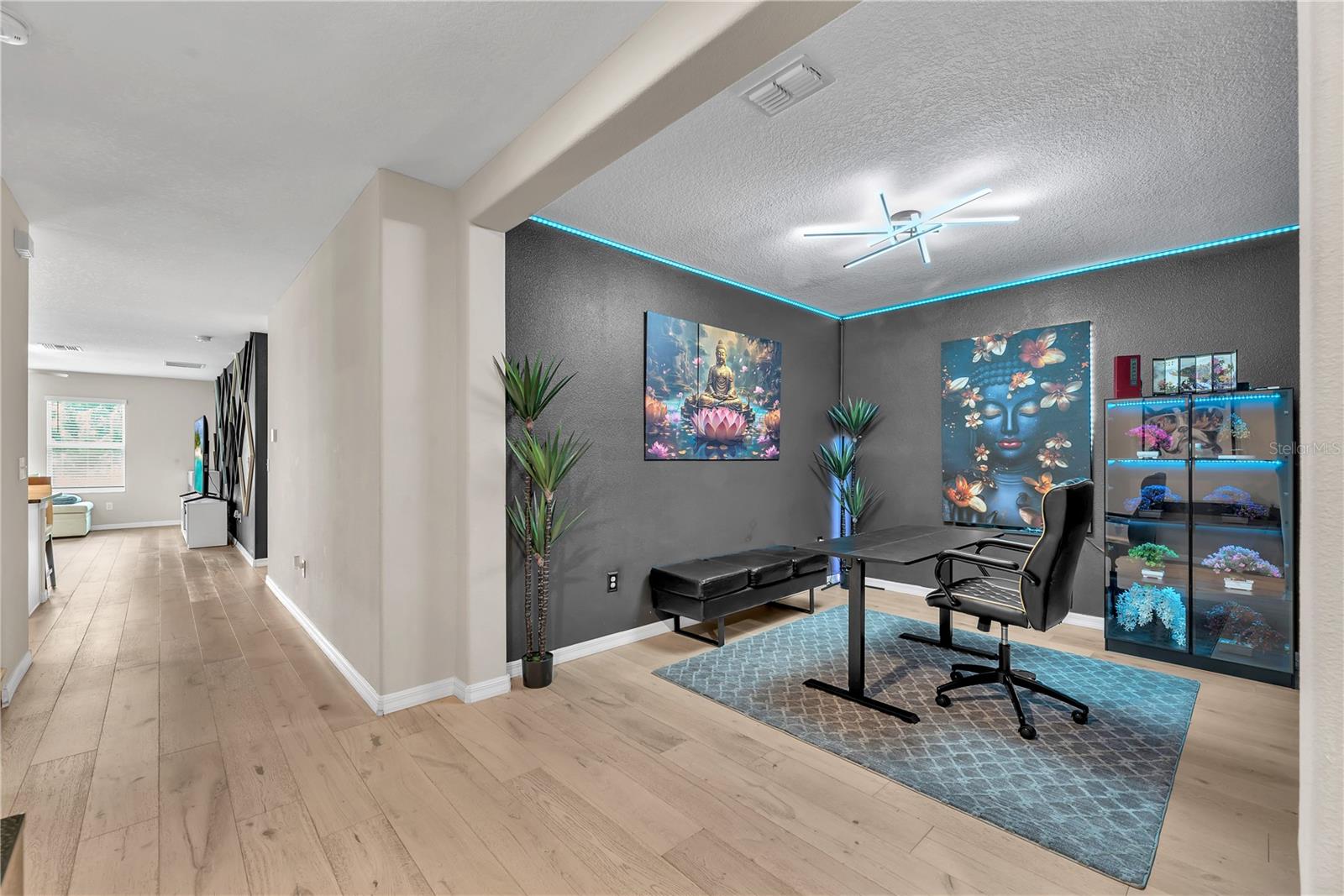 1911 Fan Aloe Way, Ruskin, FL 33570 photo