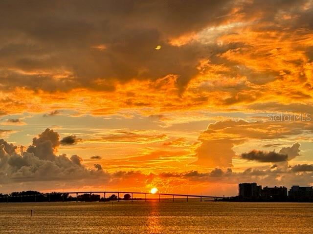 55 Rogers St #204, Clearwater, FL 33756 photo