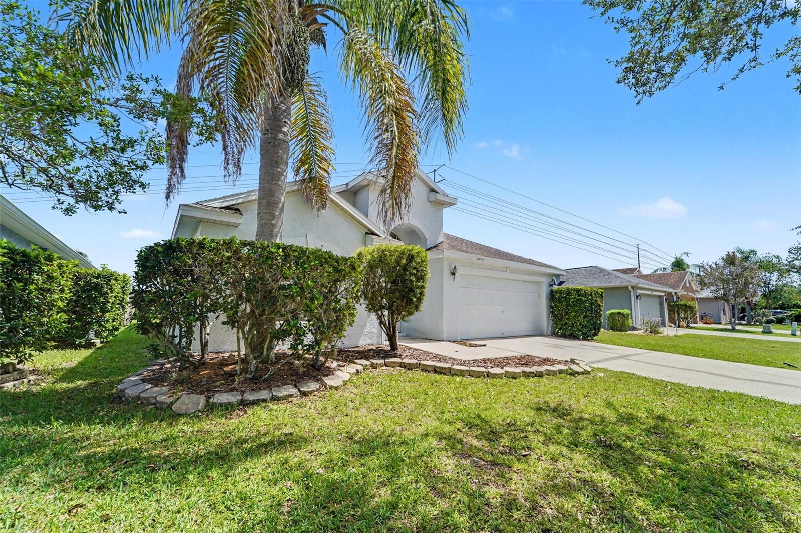 22901 Hawk Hill Loop, Land O Lakes, FL 34639 photo