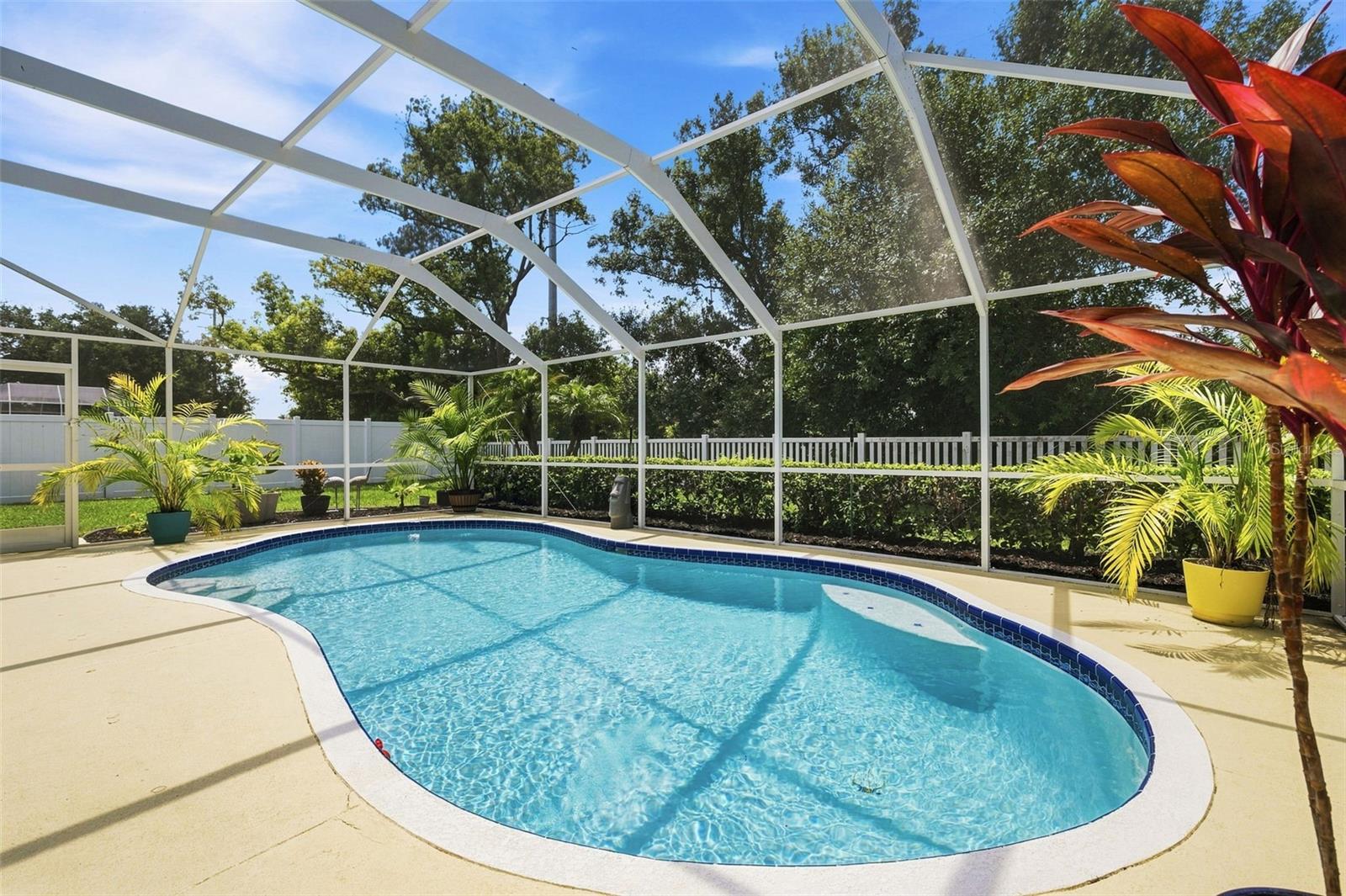 22608 Killington Blvd, Land O Lakes, FL 34639 photo