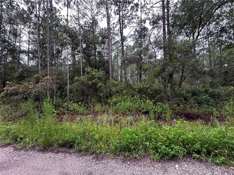  in CITRA FL NE 66TH AVE.jpg
