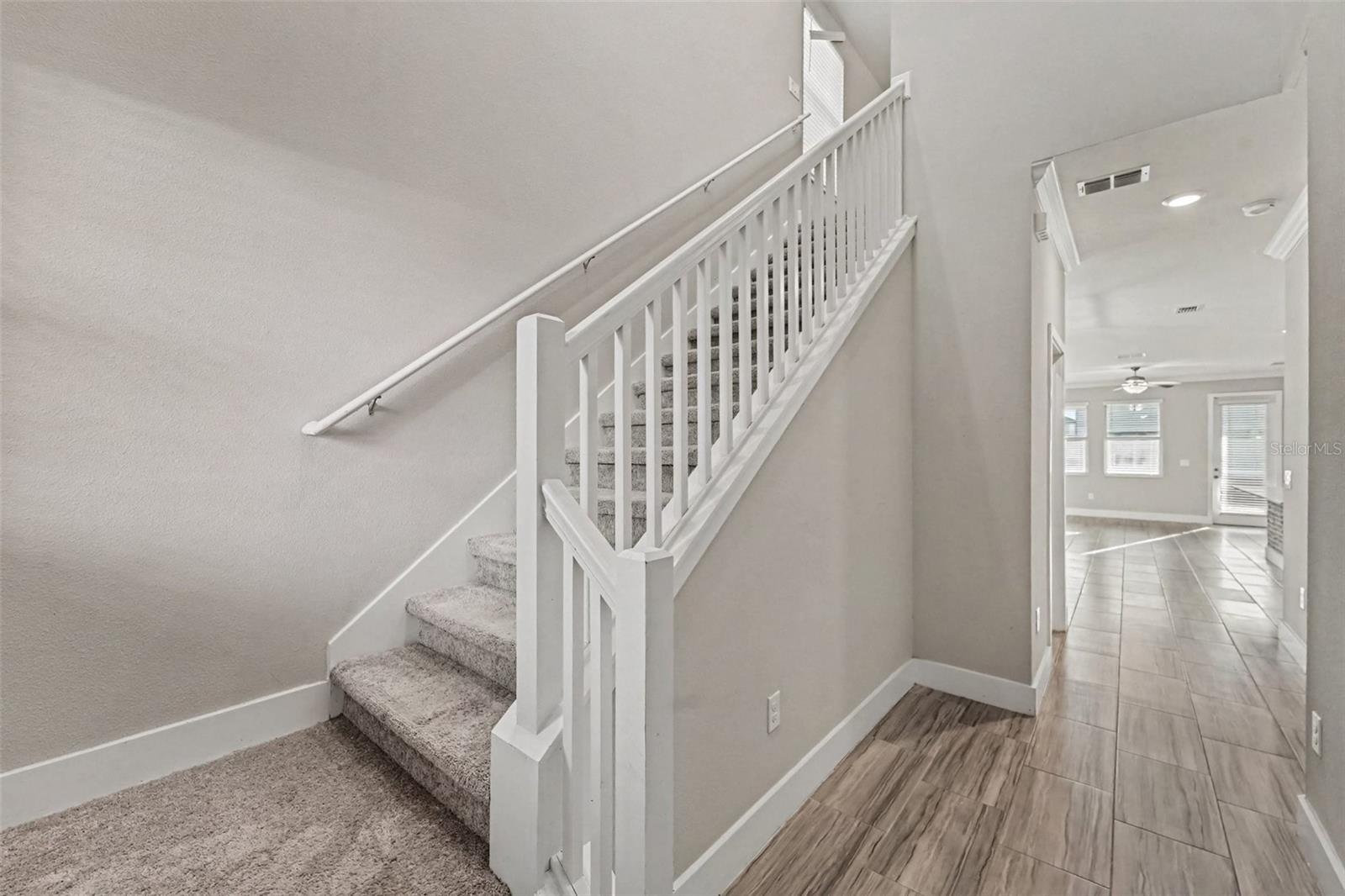 9604 Little Bluestem Dr, Land O Lakes, FL 34637 photo
