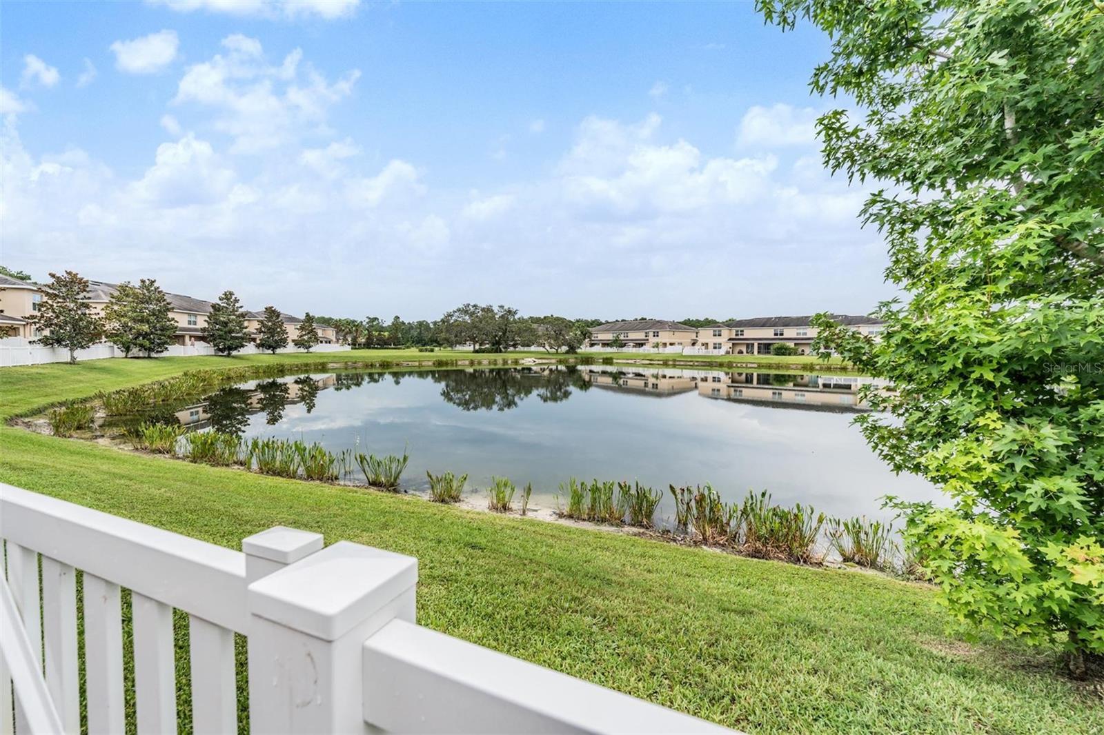 12039 Greengate Dr, Hudson, FL 34669 photo