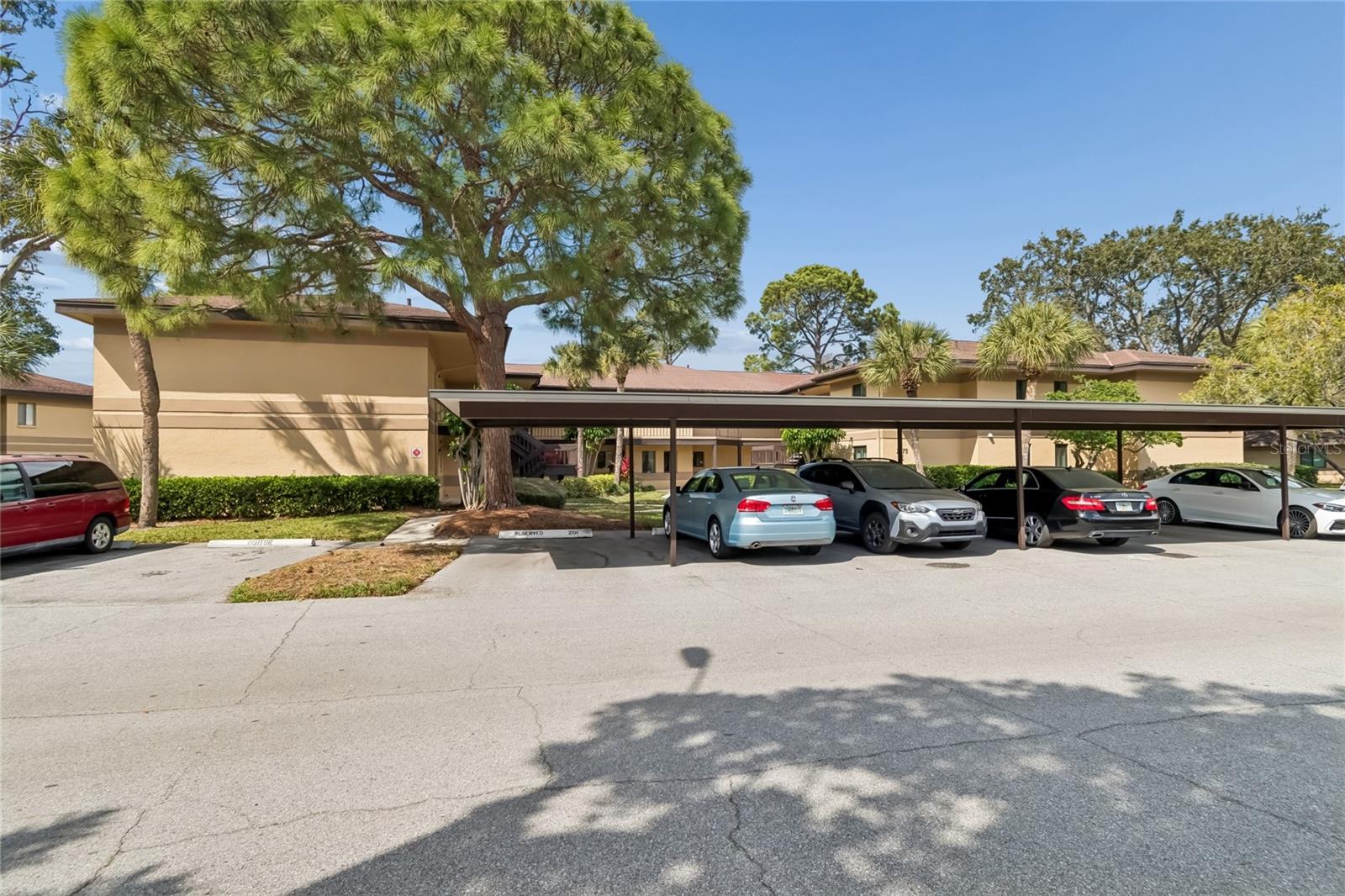 2679 Sabal Spring Cir #102, Clearwater, FL 33761 photo