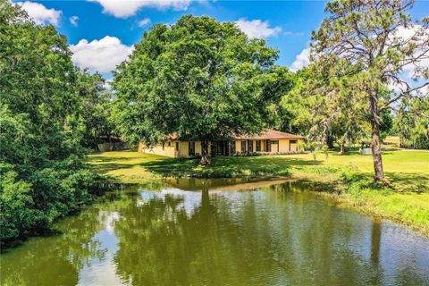 Single Family Residence in PLANT CITY FL 4101 N FORBES RD.jpg
