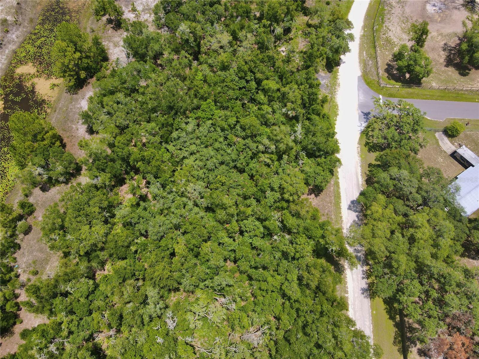 34237 Shaffer Dr, Dade City, FL 33523 photo