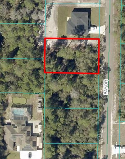  in OCKLAWAHA FL 00 BAY DRIVE #Lot 19.jpg