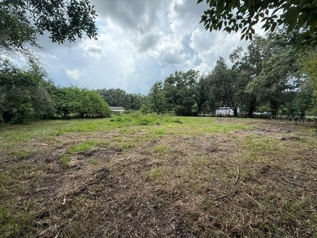 3011 S Wiggins Rd, Plant City, FL 33566 photo