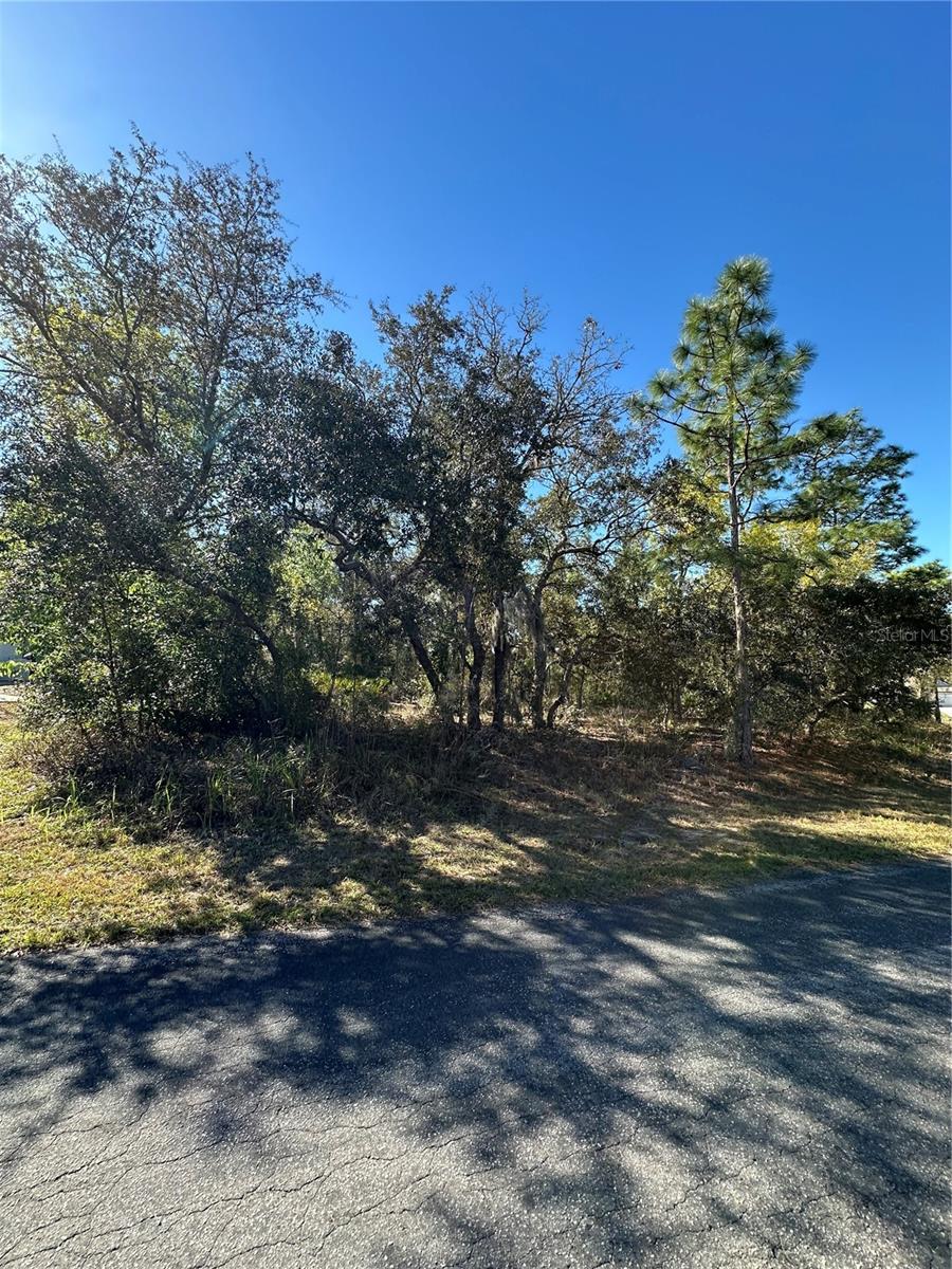 7 Sweetbay Ct, Homosassa, FL 34446 photo