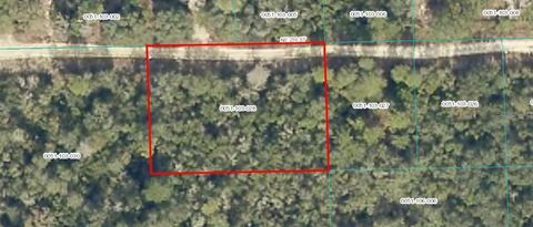  in FORT MC COY FL TBD NE 236 STREET.jpg
