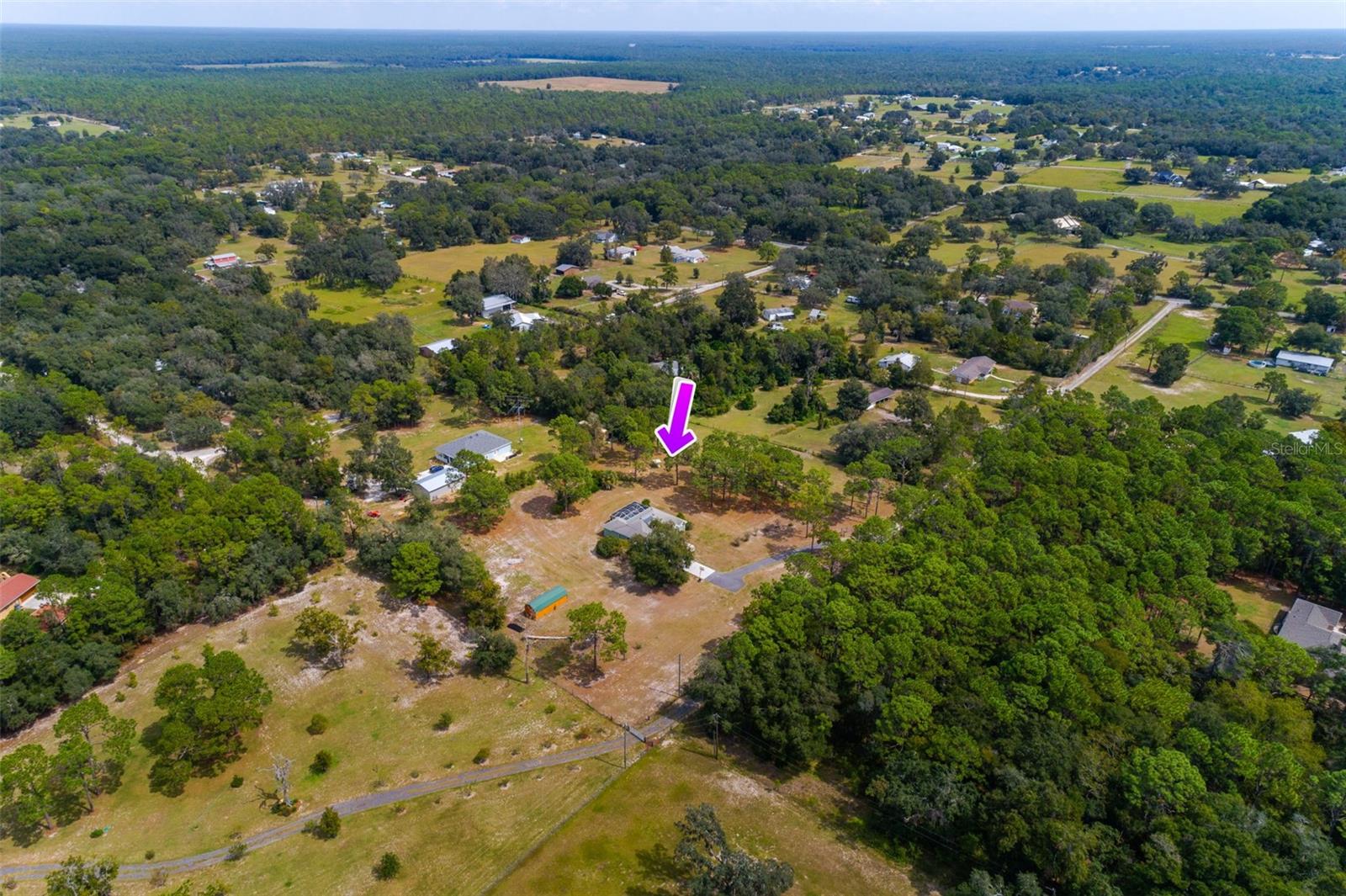 28033 Cricket Hill Rd, Brooksville, FL 34602 photo