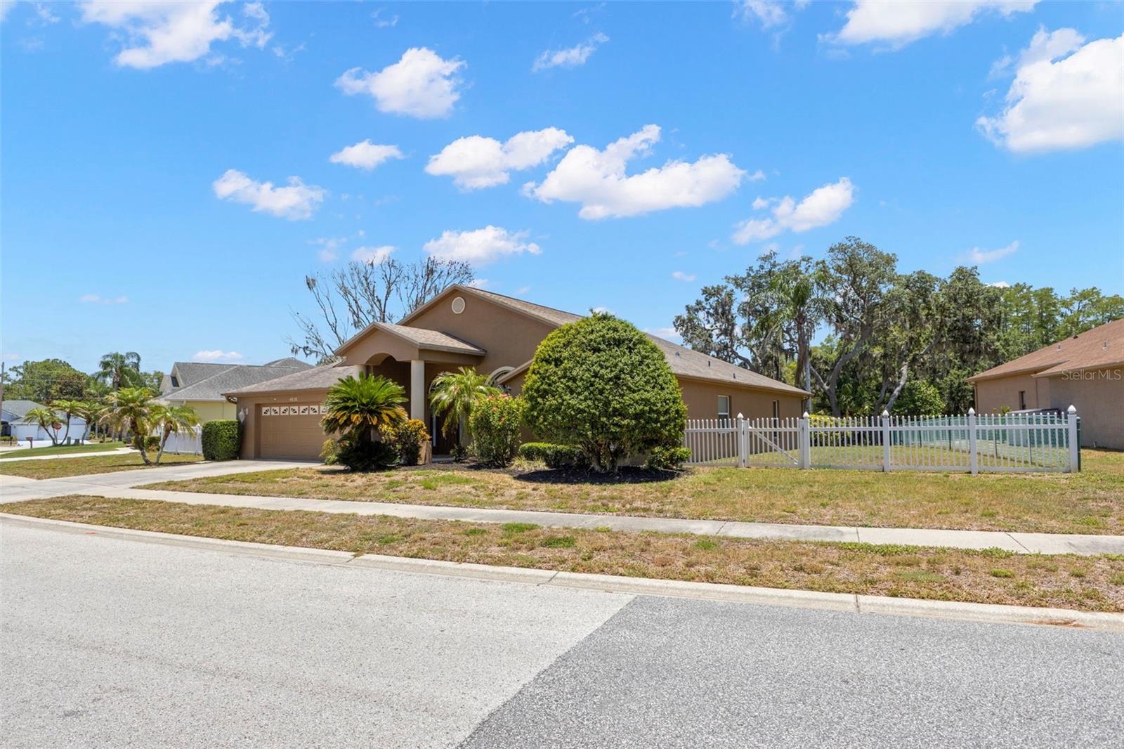 4638 Anaconda Dr, New Port Richey, FL 34655 photo