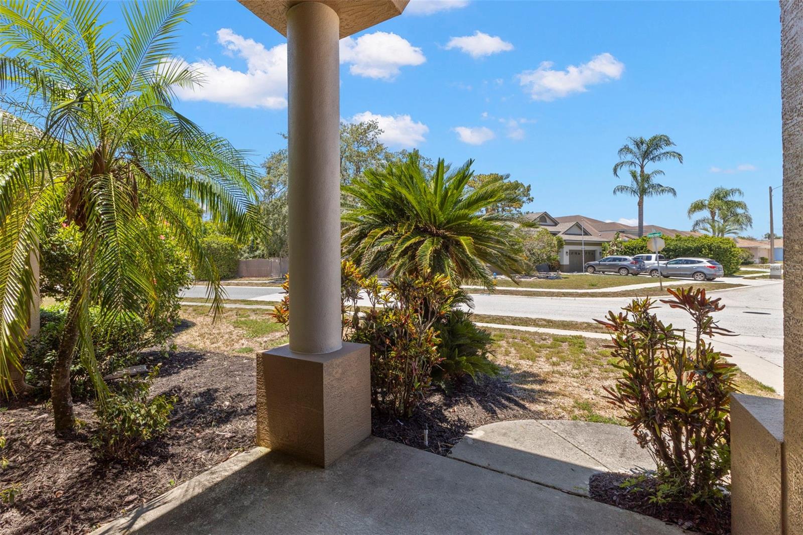 4638 Anaconda Dr, New Port Richey, FL 34655 photo