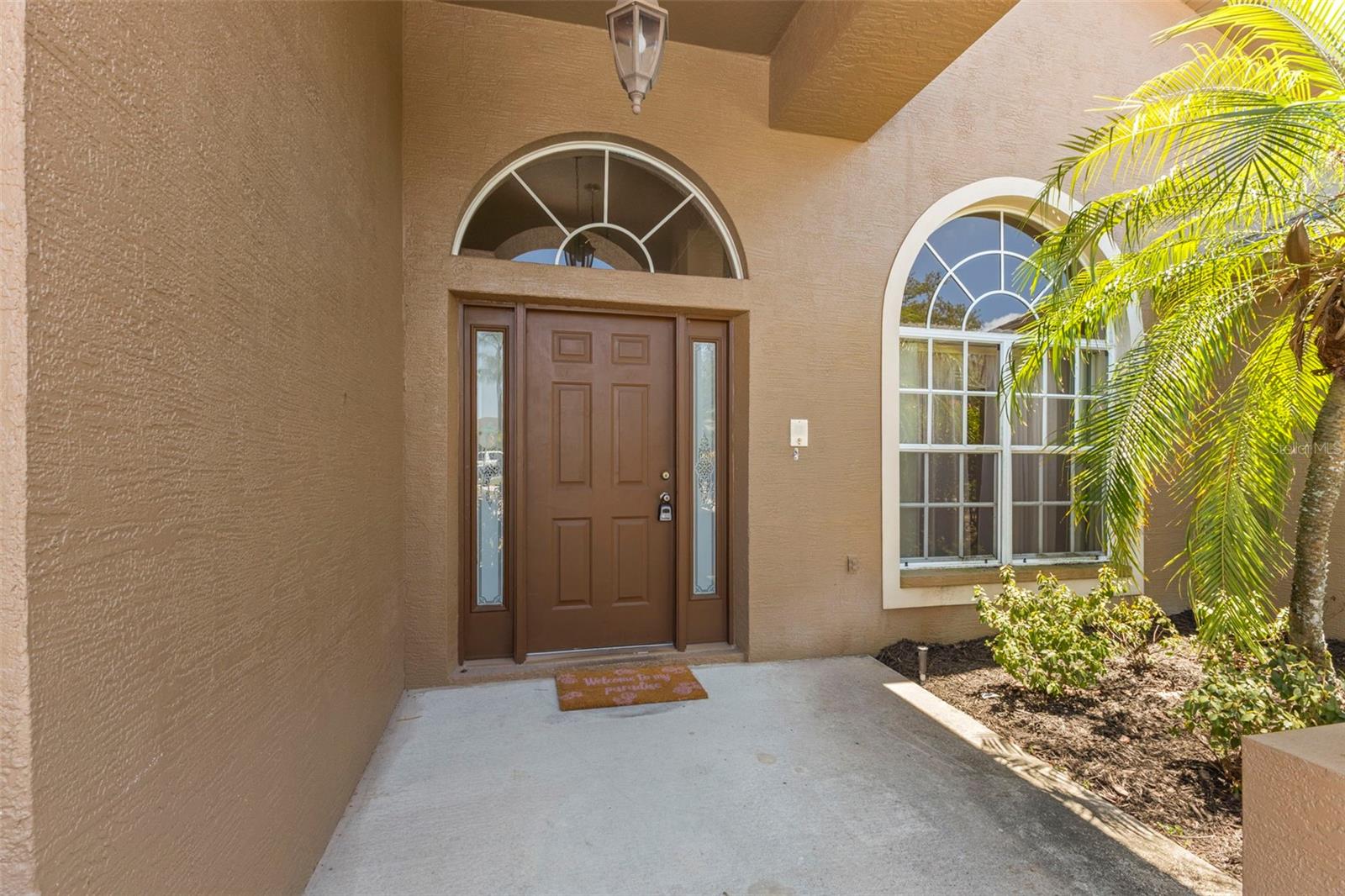 4638 Anaconda Dr, New Port Richey, FL 34655 photo