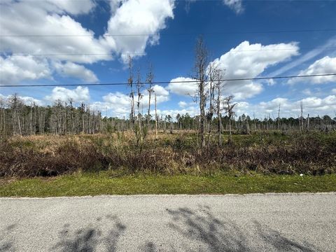  in WESLEY CHAPEL FL GREEN WILLOW RUN #LOT 745.jpg