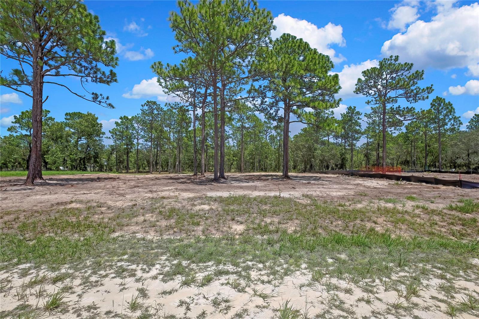 16116 Medrick Rd, Brooksville, FL 34614 photo
