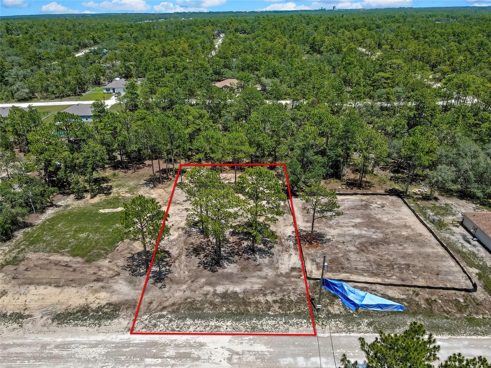 16116 Medrick Rd, Brooksville, FL 34614 photo