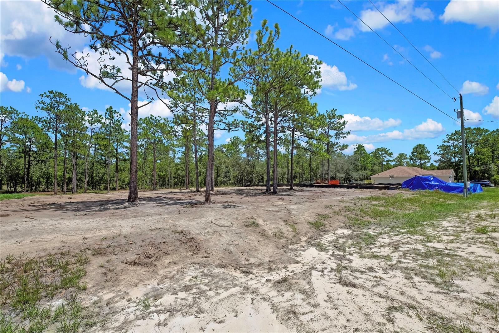 16116 Medrick Rd, Brooksville, FL 34614 photo