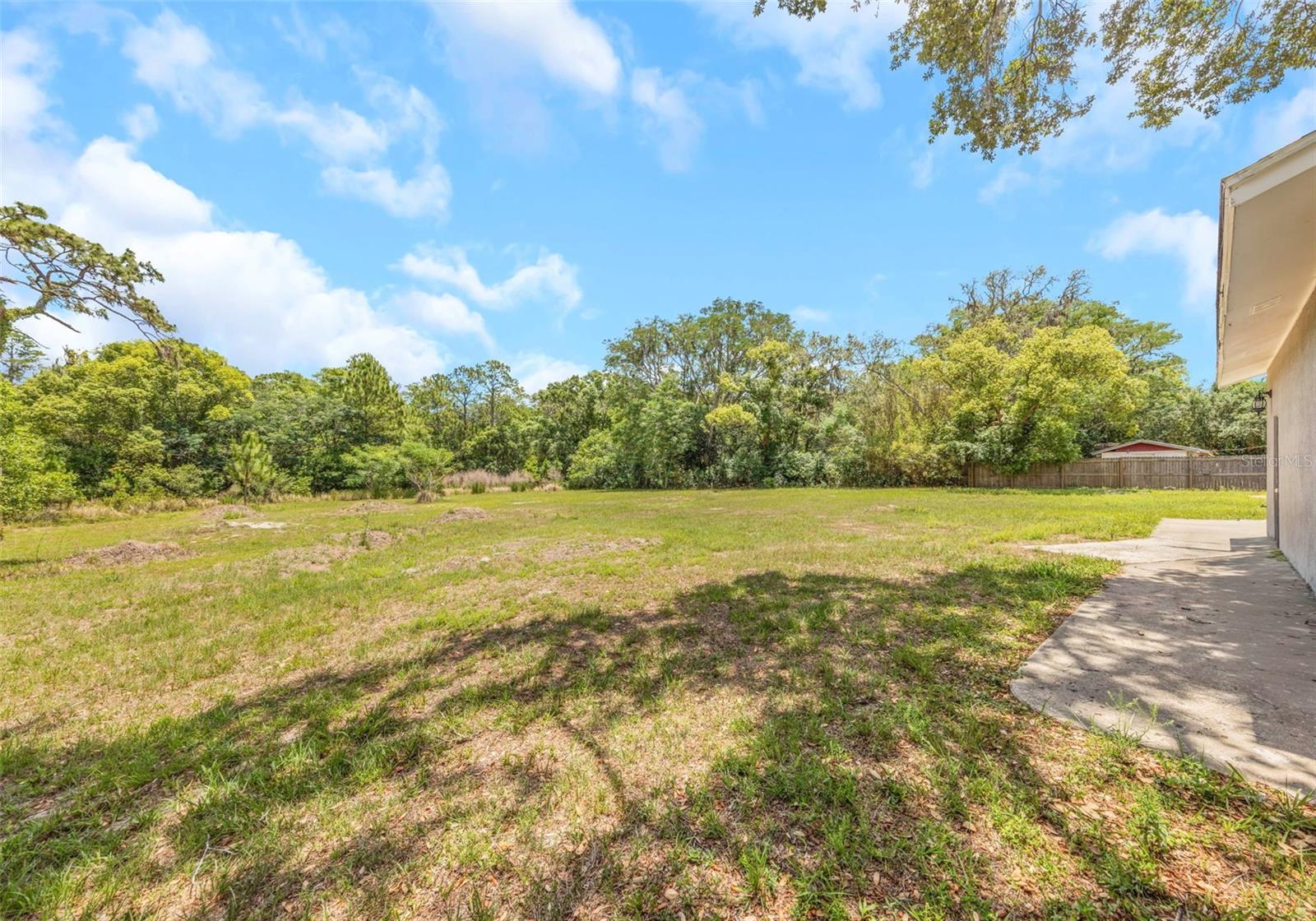 9224 Elza St, New Port Richey, FL 34654 photo