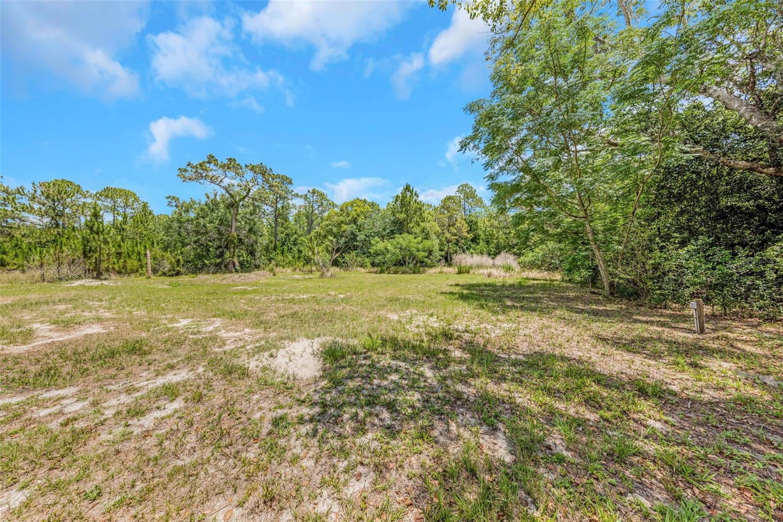 9224 Elza St, New Port Richey, FL 34654 photo