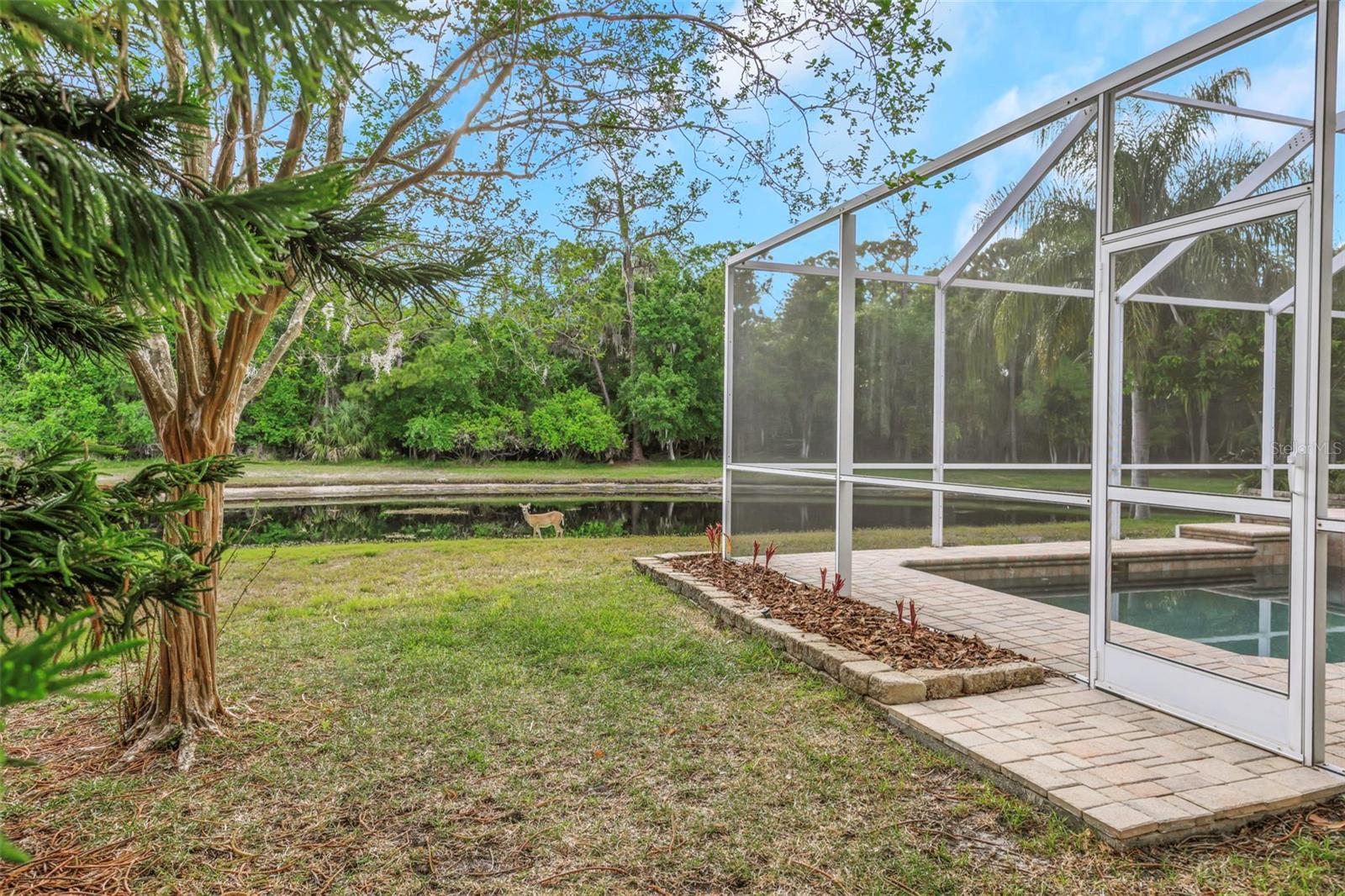 4152 Grandchamp Cir, Palm Harbor, FL 34685 photo