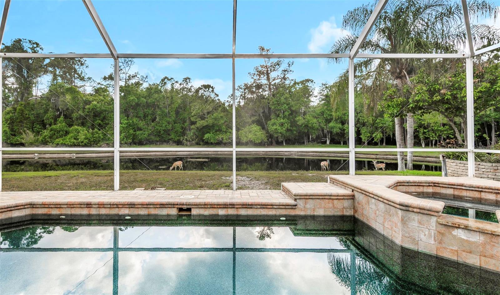4152 Grandchamp Cir, Palm Harbor, FL 34685 photo