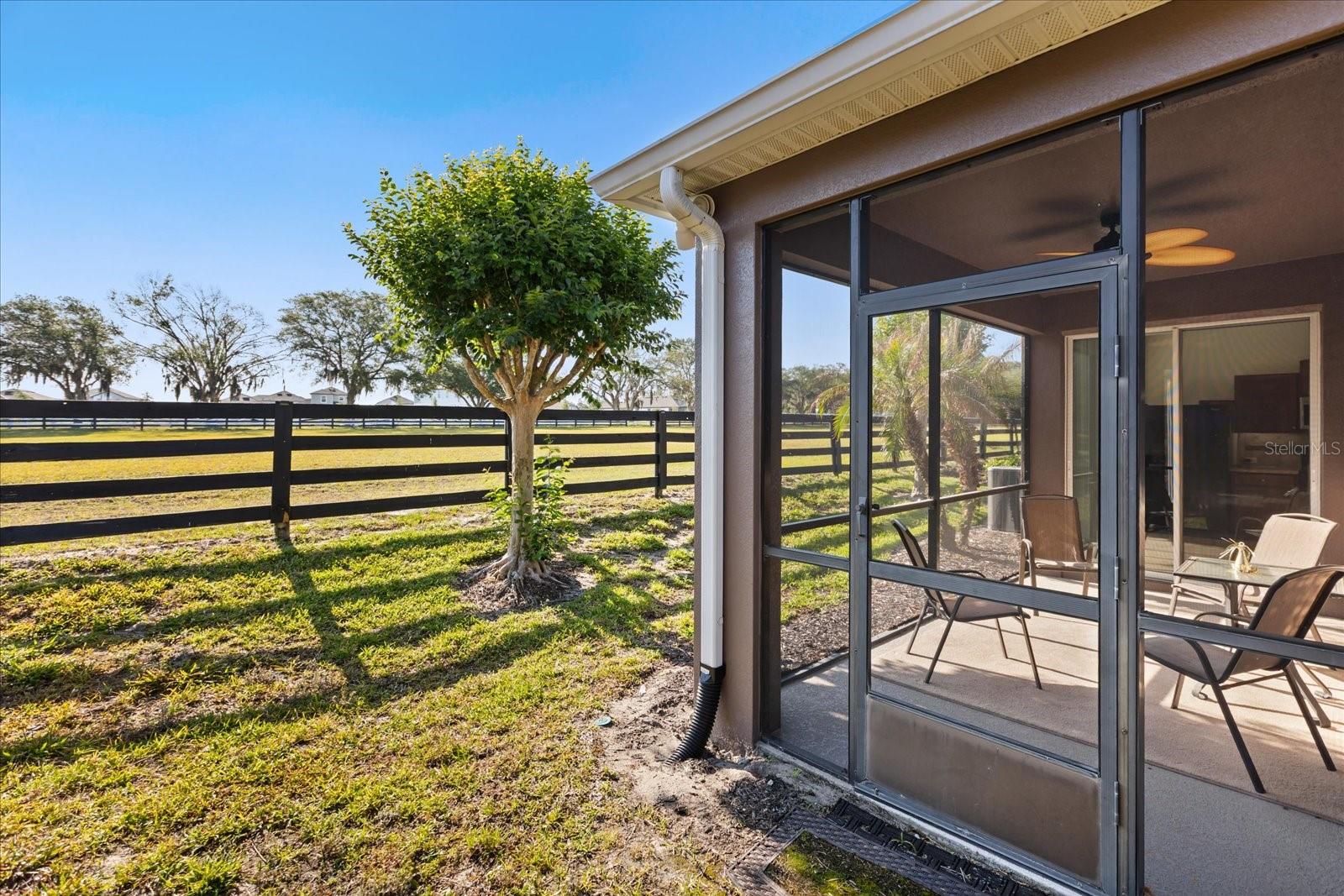 22024 Belgian Ct, Mount Dora, FL 32757 photo