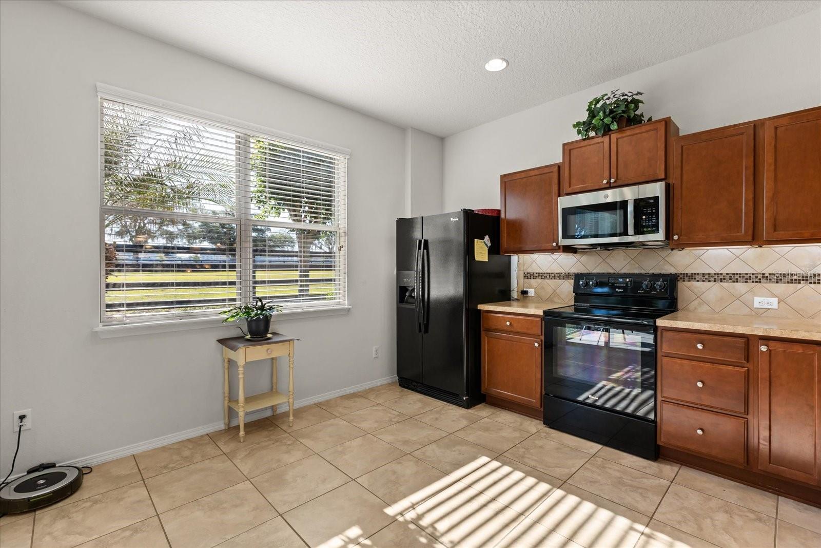 22024 Belgian Ct, Mount Dora, FL 32757 photo
