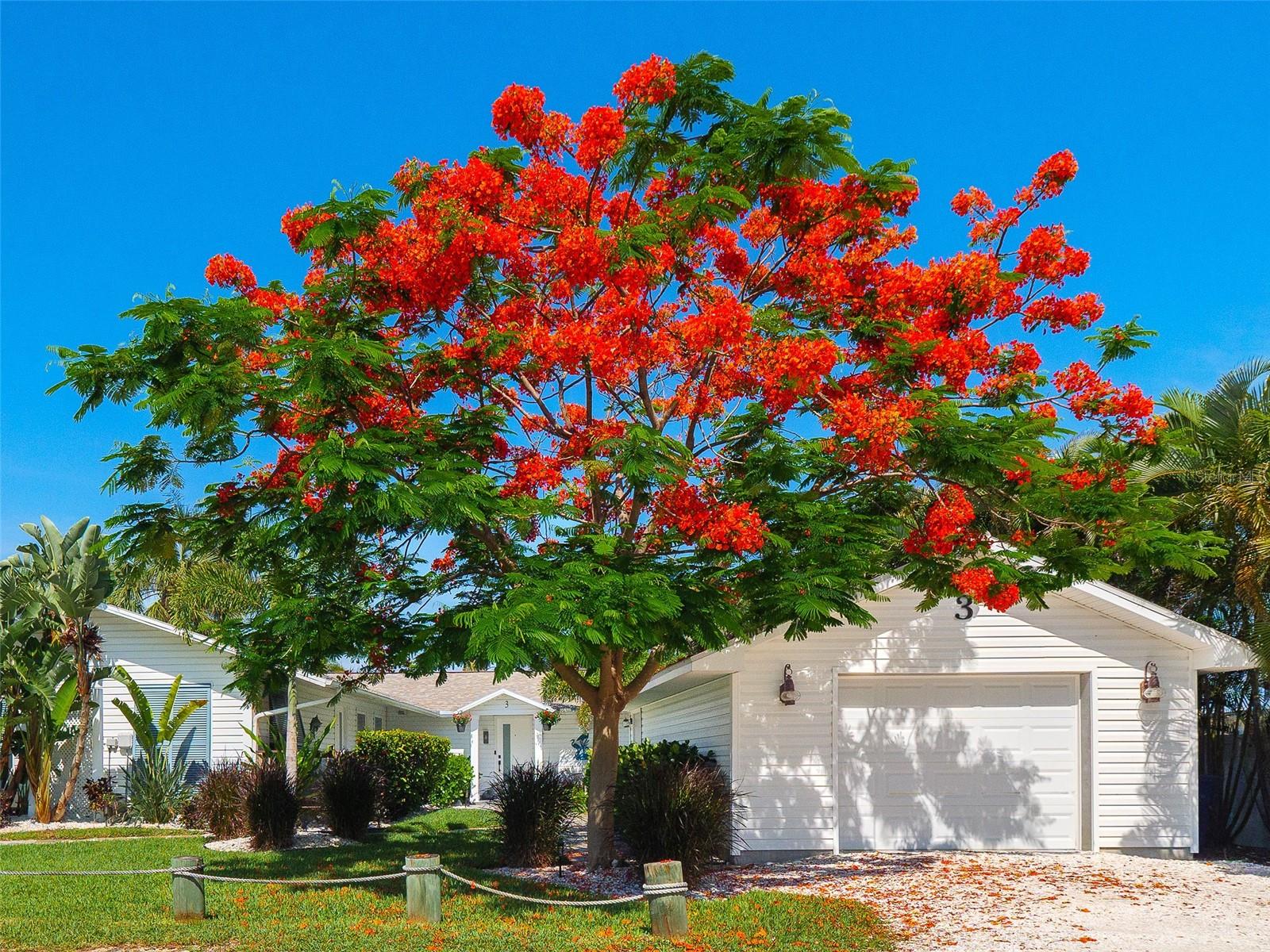 3 Michiana Pl, Terra Ceia, FL 34250 photo