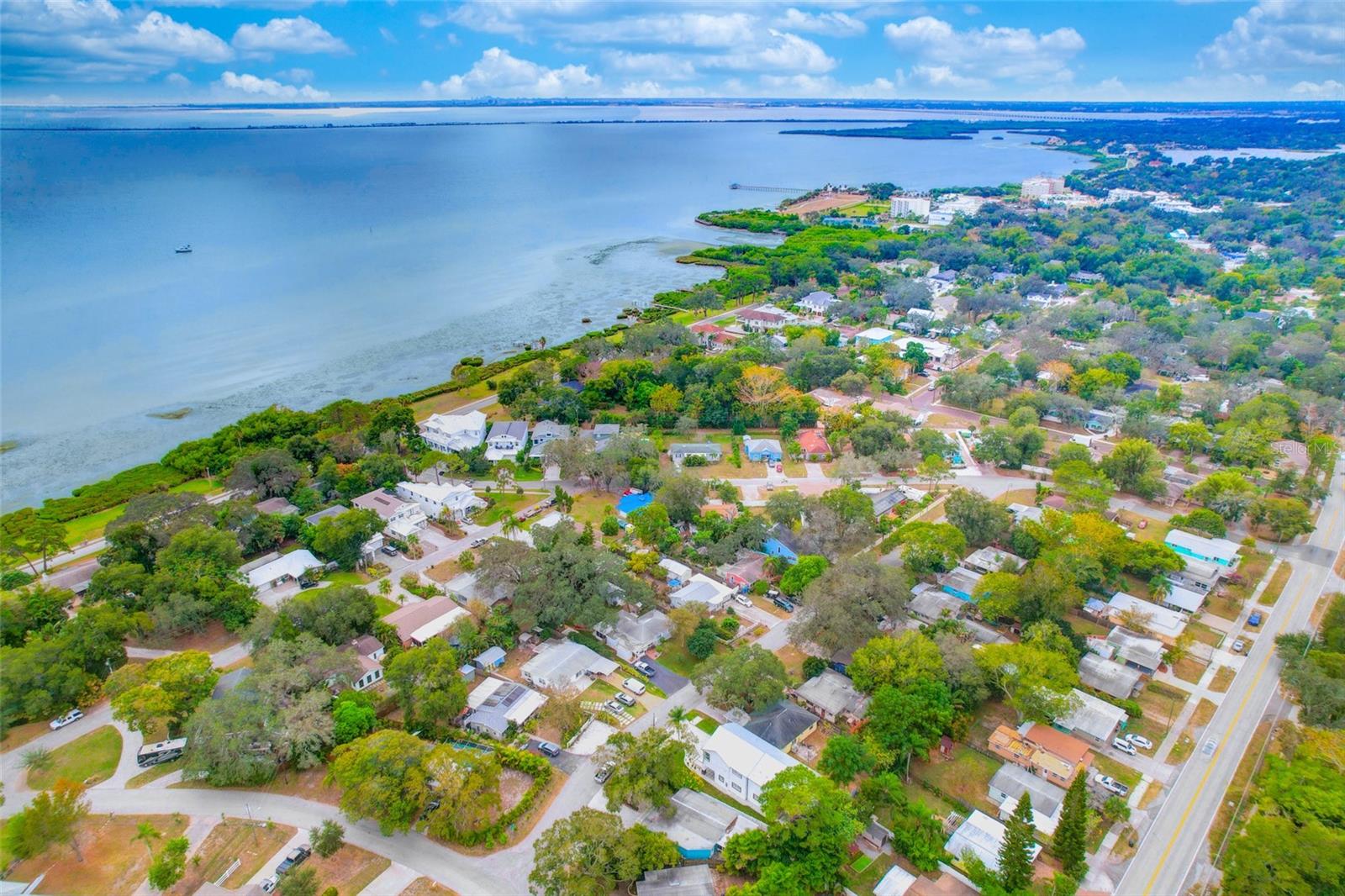 1105 Conant Ave, Safety Harbor, FL 34695 photo