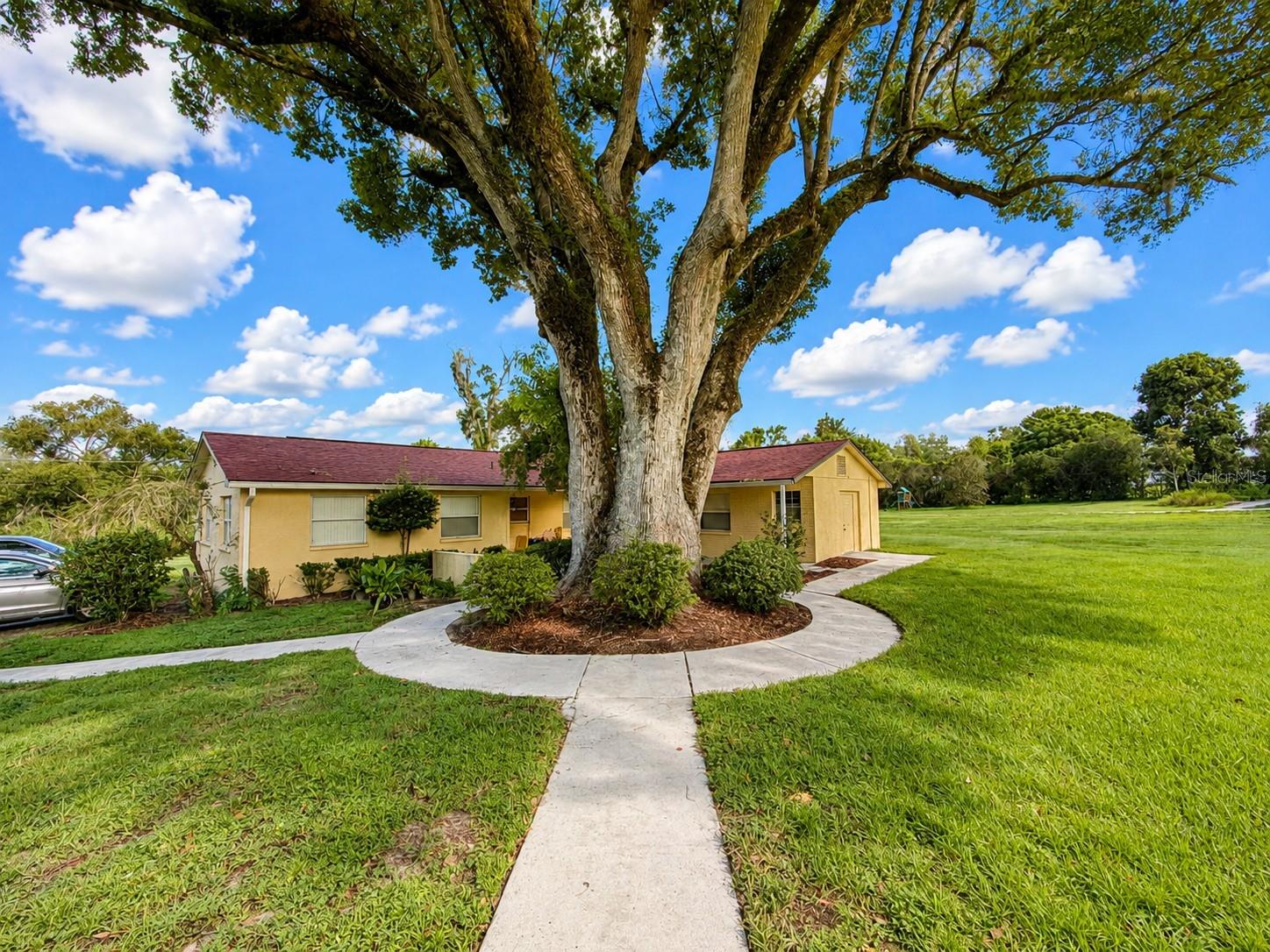 37701 Camphor Dr, Dade City, FL 33525 photo