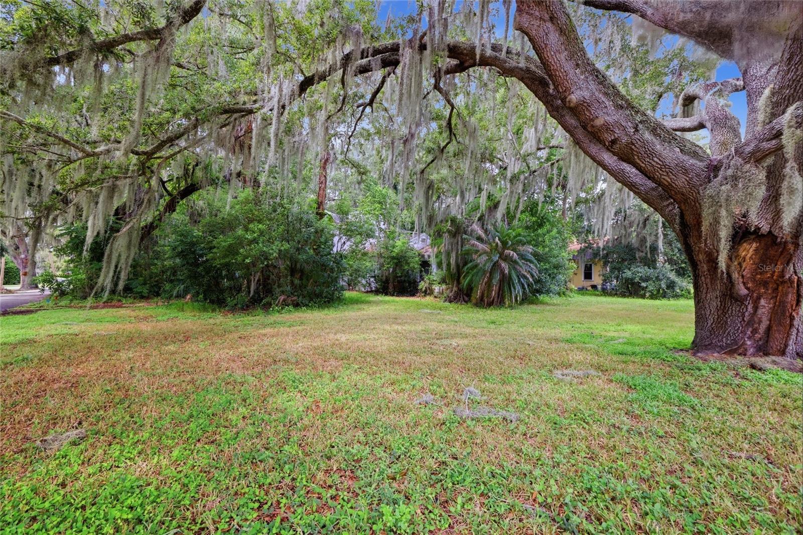 815 S 9 St, Leesburg, FL 34748 photo
