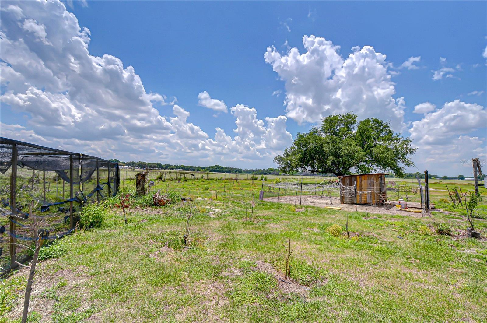 4036 Moores Lake Rd, Dover, FL 33527 photo