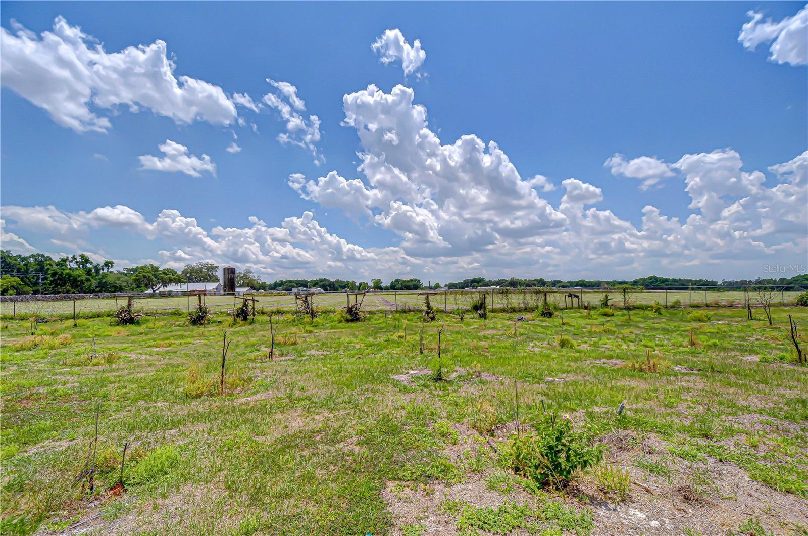4036 Moores Lake Rd, Dover, FL 33527 photo
