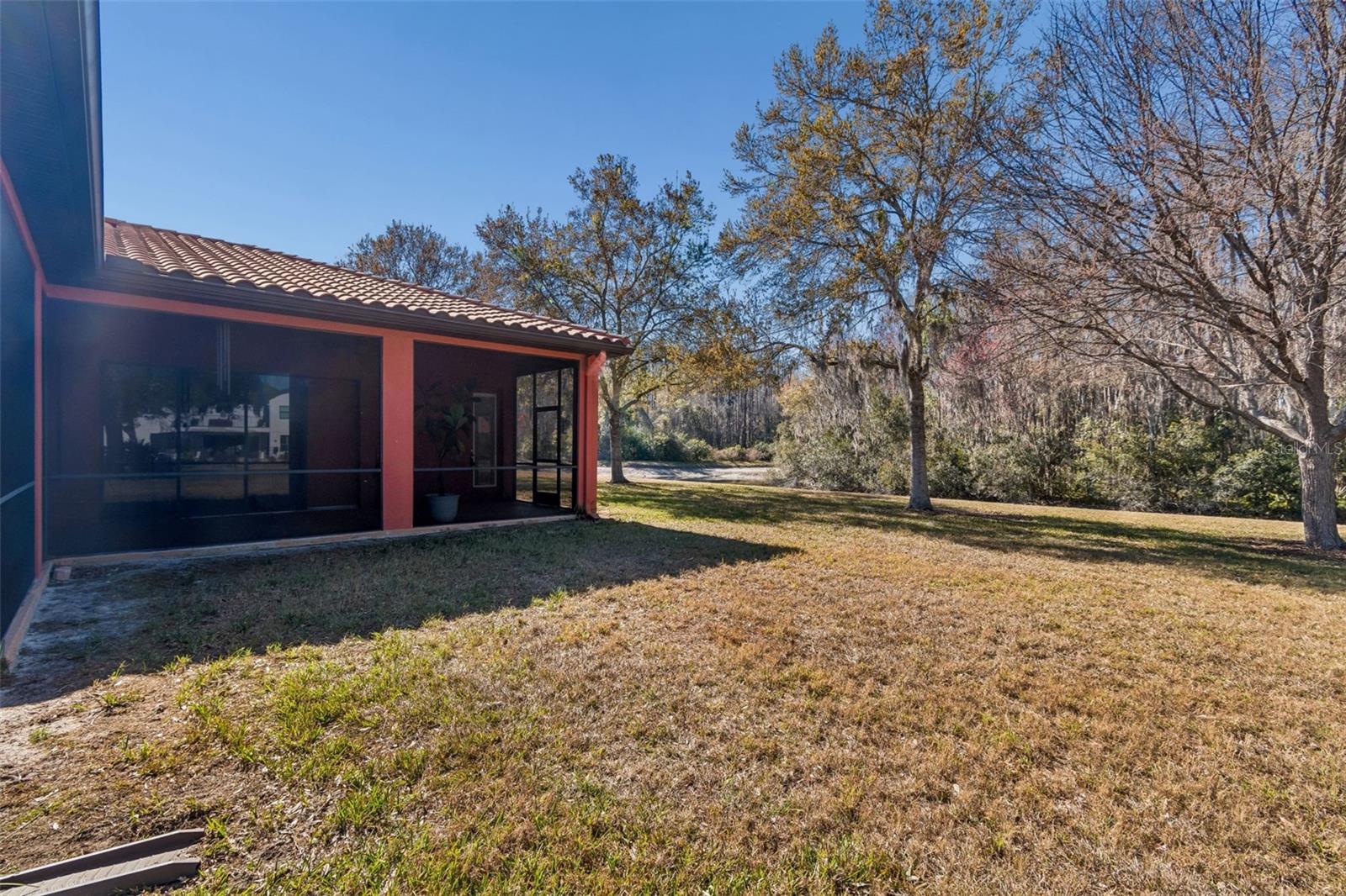 3511 Ballastone Dr, Land O Lakes, FL 34638 photo