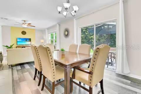 10108 Hawk Storm Ave, Tampa, FL 33610 photo