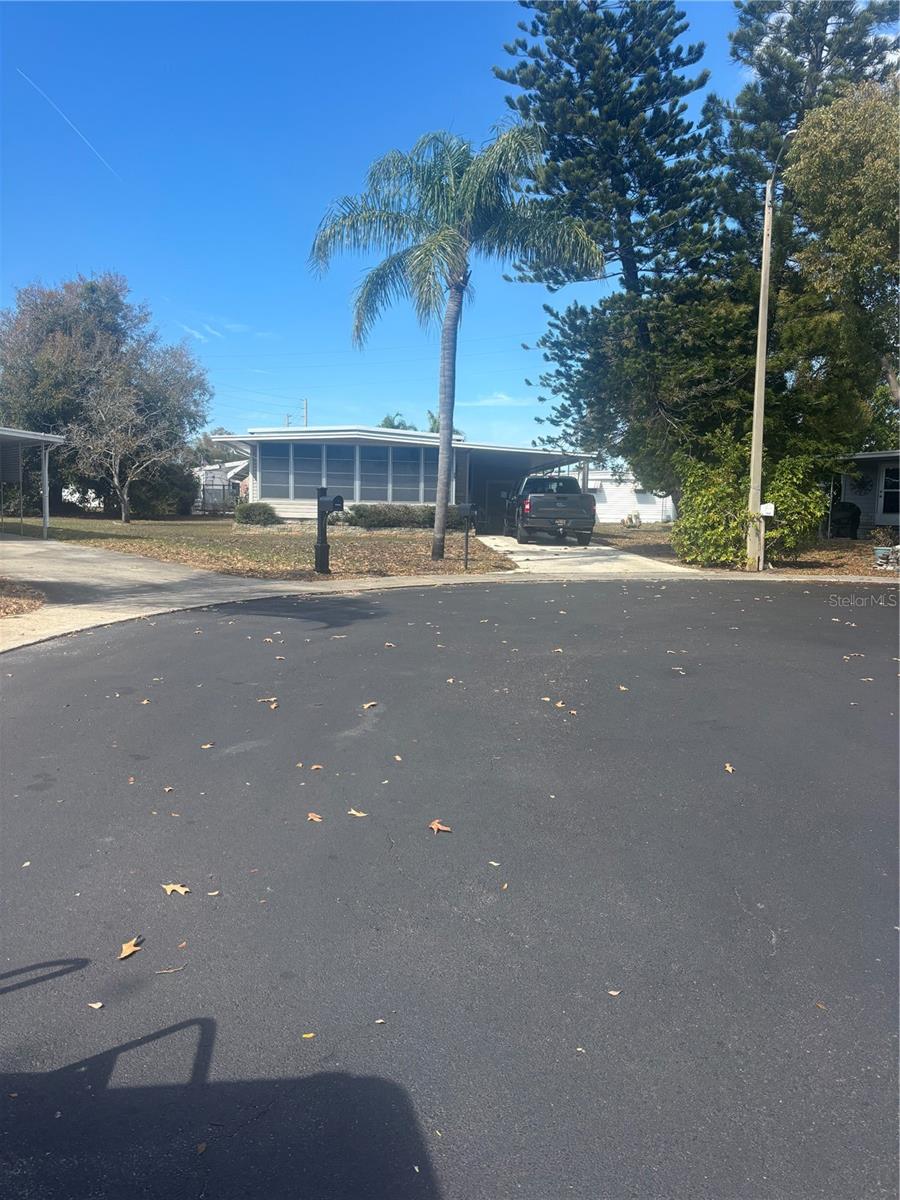 105 Freedom Ct #30, Palm Harbor, FL 34684 photo