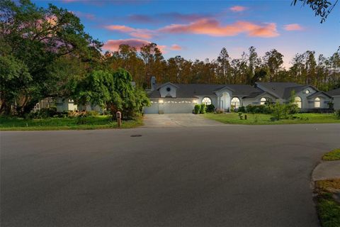 Single Family Residence in NEW PORT RICHEY FL 7222 AUBURN LANE.jpg