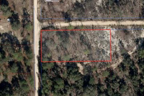  in BRONSON FL NE 105TH AVENUE.jpg