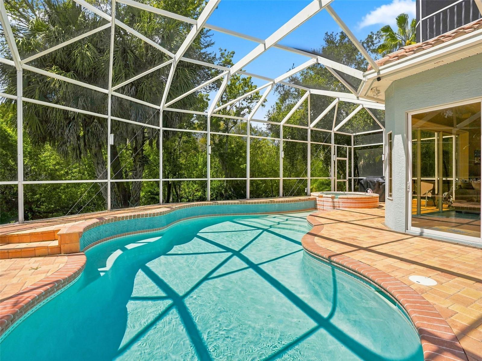 1650 Arabian Ln, Palm Harbor, FL 34685 photo