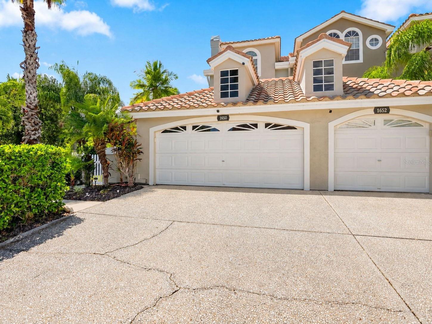 1650 Arabian Ln, Palm Harbor, FL 34685 photo