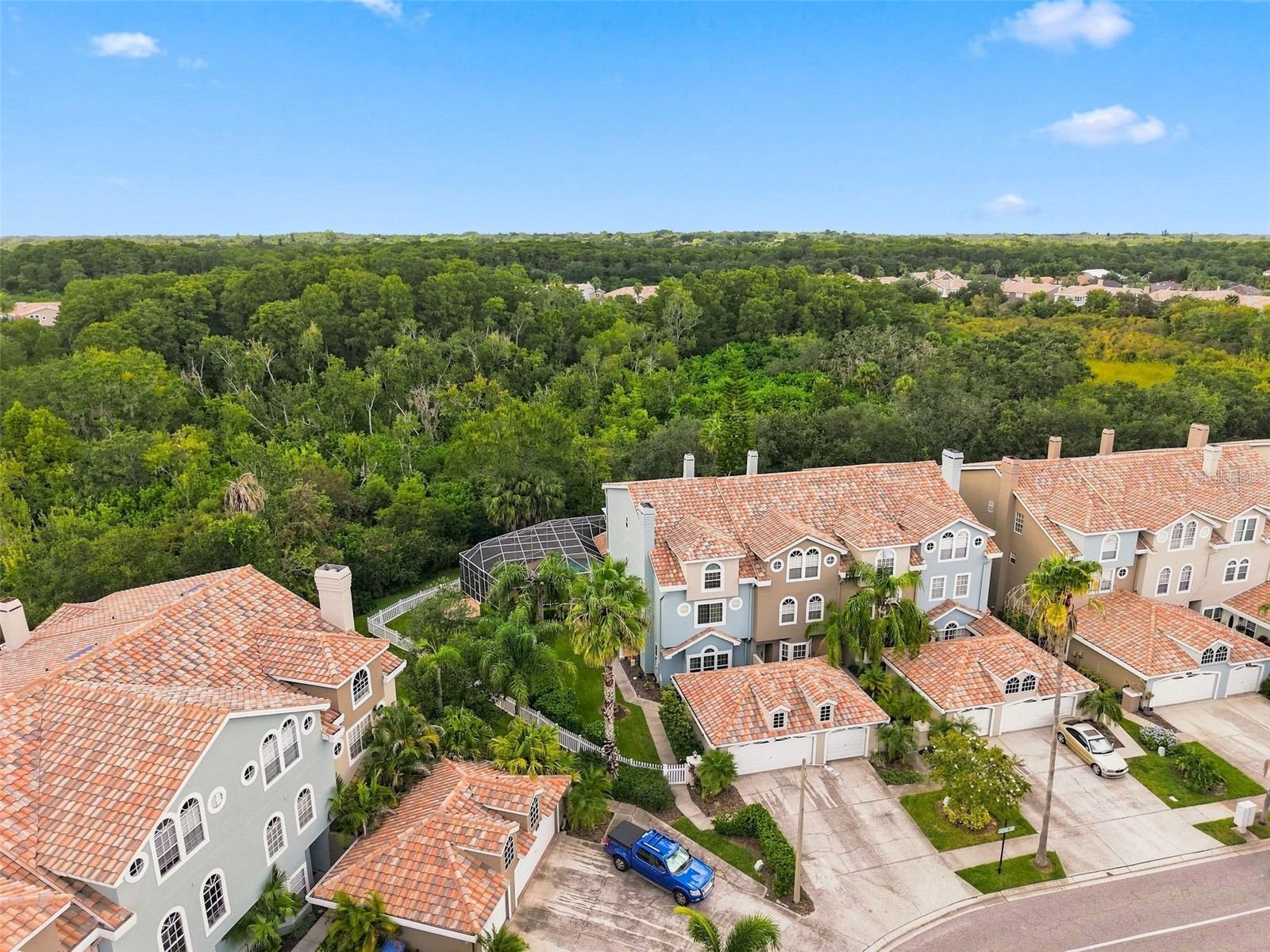 1650 Arabian Ln, Palm Harbor, FL 34685