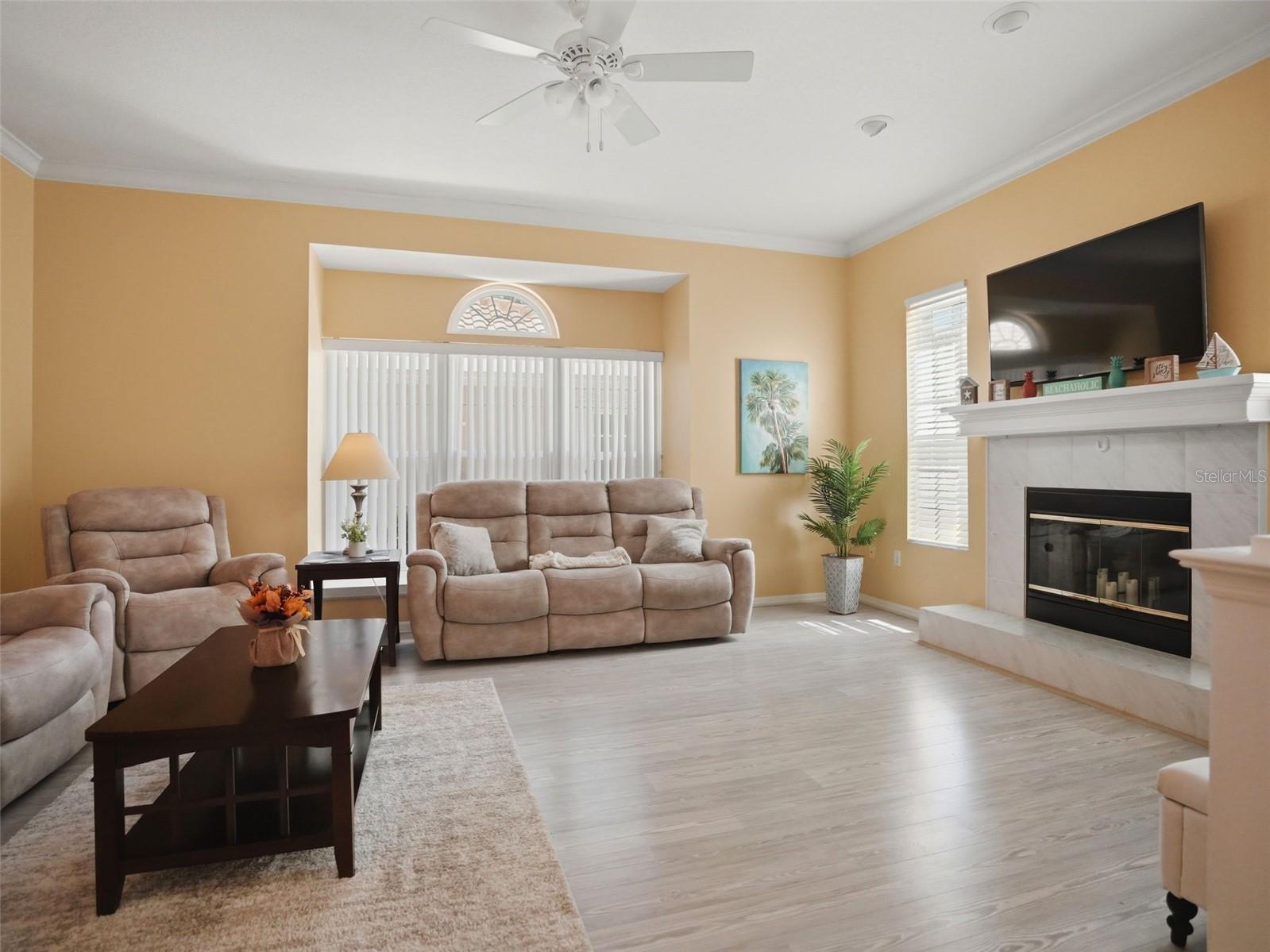 1650 Arabian Ln, Palm Harbor, FL 34685 photo