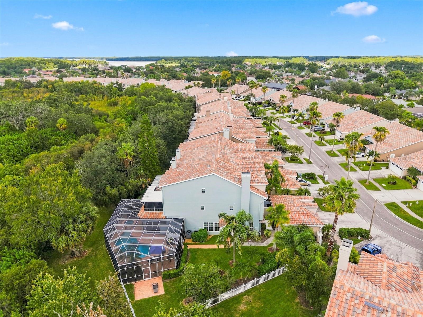 1650 Arabian Ln, Palm Harbor, FL 34685 photo