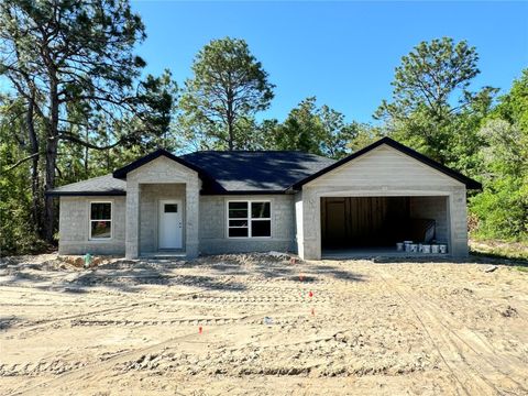Single Family Residence in OCKLAWAHA FL 12 GUAVA TERRACE RADIAL.jpg