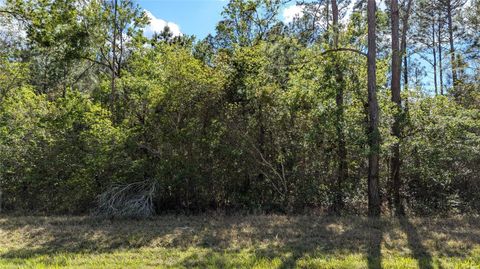 in WALDO FL 00 NE 108TH PLACE.jpg