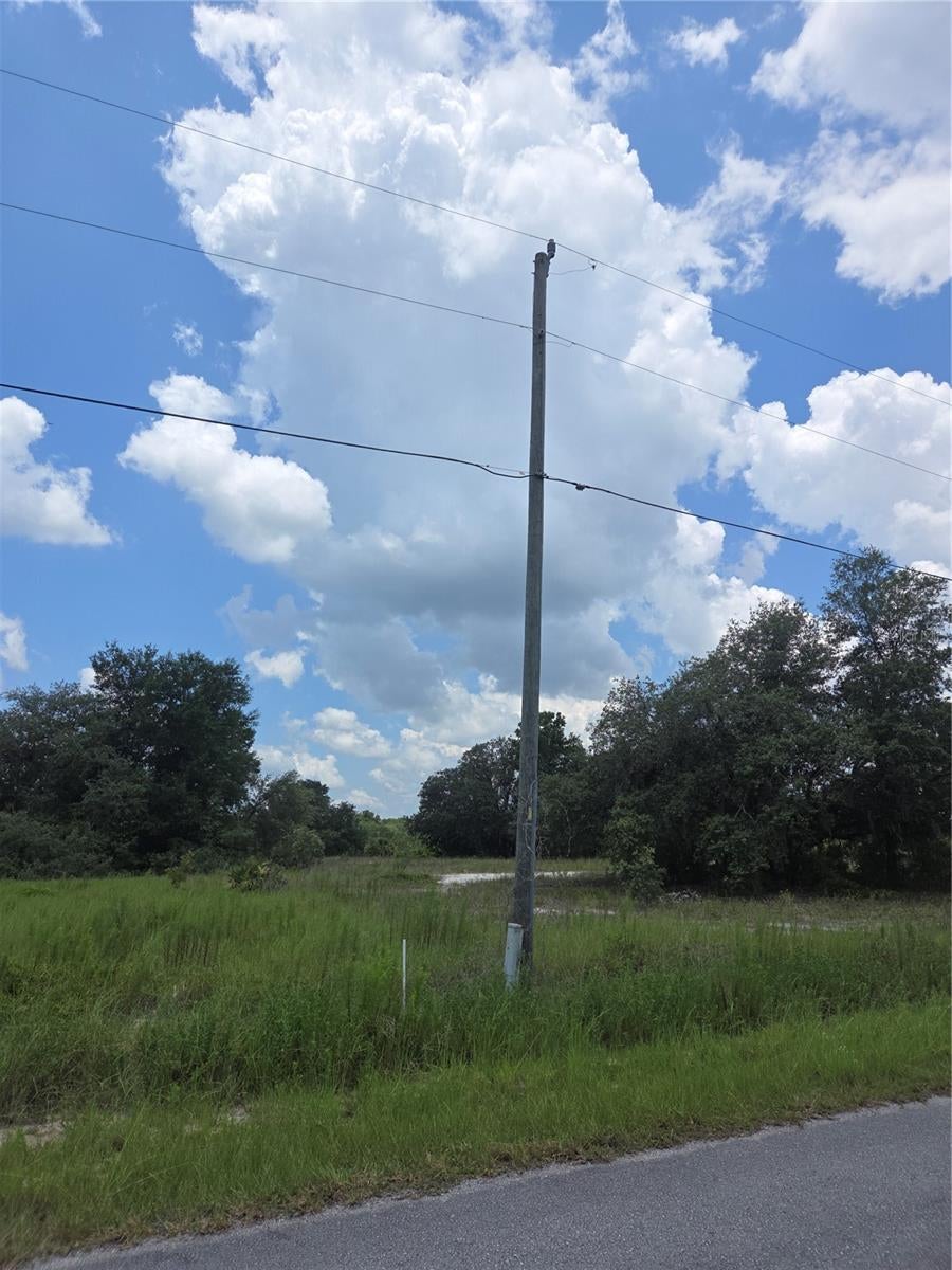 14 SW Viola Ct #LOT, Dunnellon, FL 34431 photo